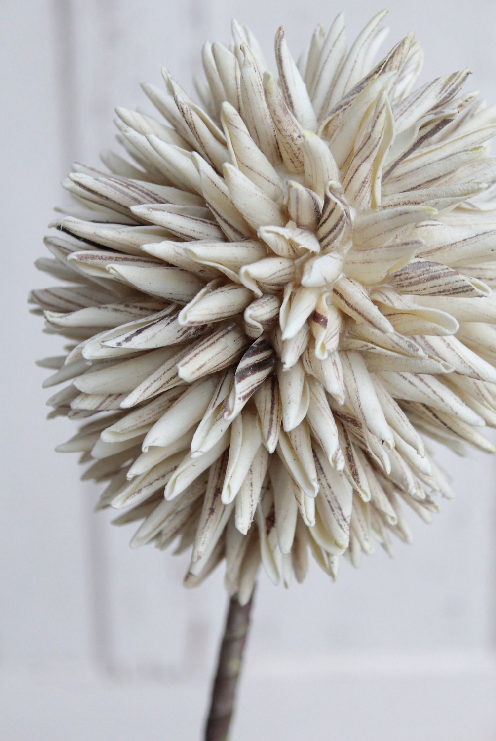 7890 976 a3 Искусственный мягкий цветок 'allium', 80 см, серый H-andreas  - Вид №6