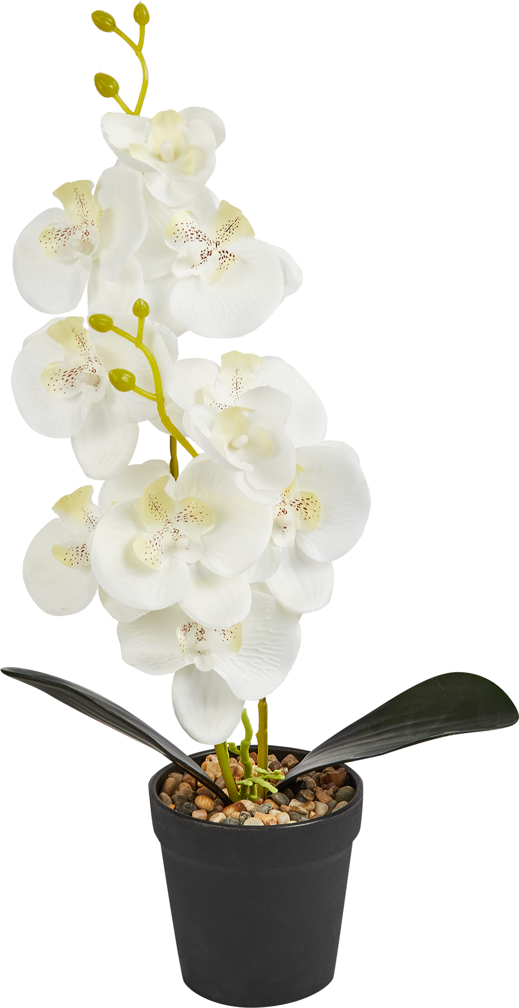 86762943 Искусственное растение Орхидея 40x39.5 см ПВХ цвет белый STLM-0071430 Santreyd  - Вид №1