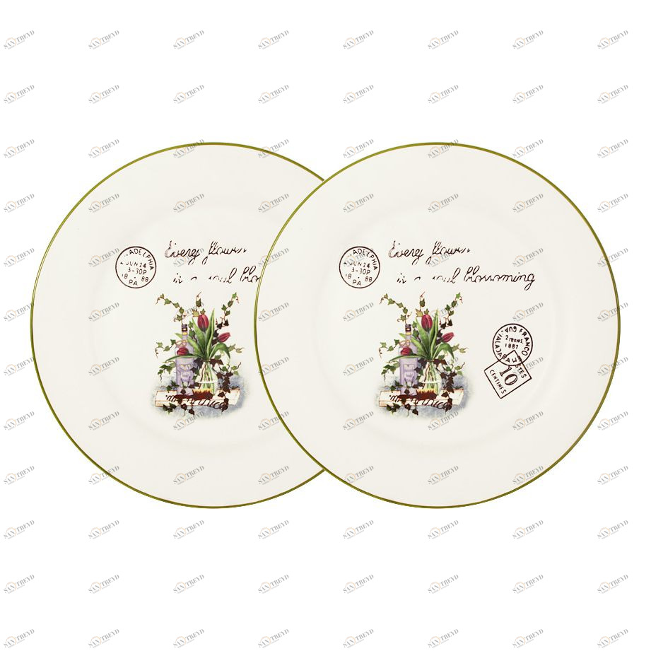 Тарелки керамические обеденные 2 шт белые "Букет" ANNA LAFARG LF CERAMICS БУКЕТ 00-3946475 Белый 