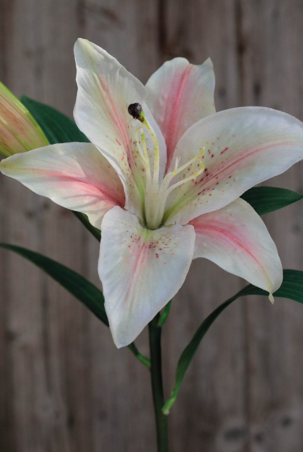 3211 755 a3 Искусственная лилия, 45 см, бежево-розовая H-andreas  - Вид №1