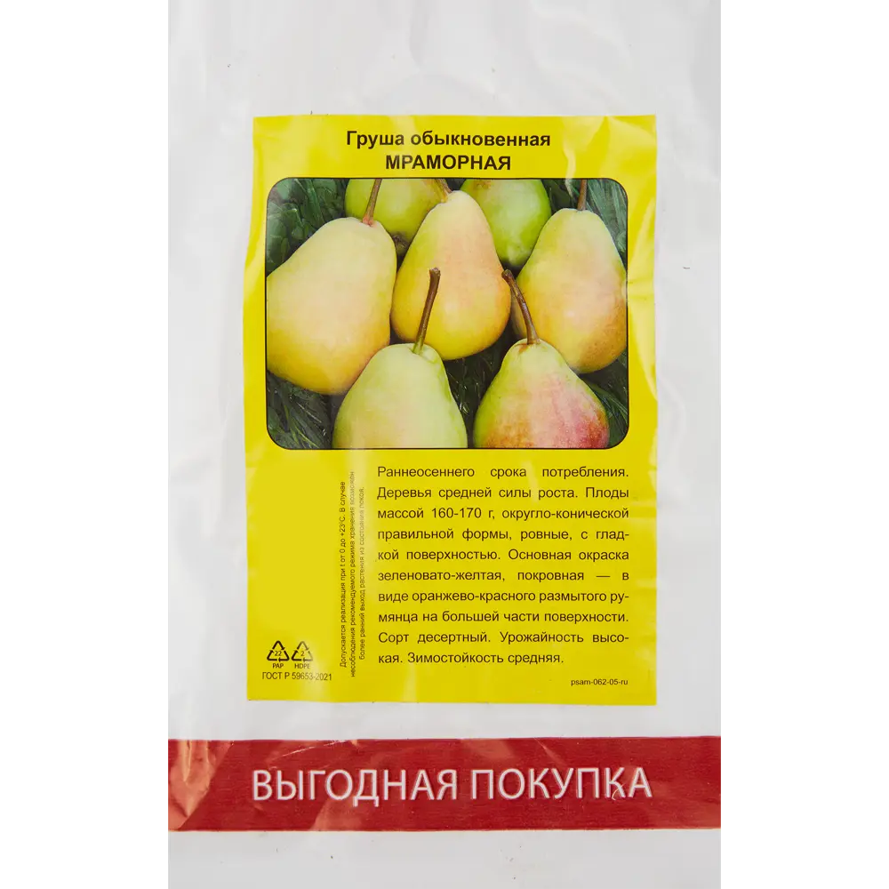 Груша Мраморная в тубе Поиск инвест 82150787 STLM-2175641 Santreyd 