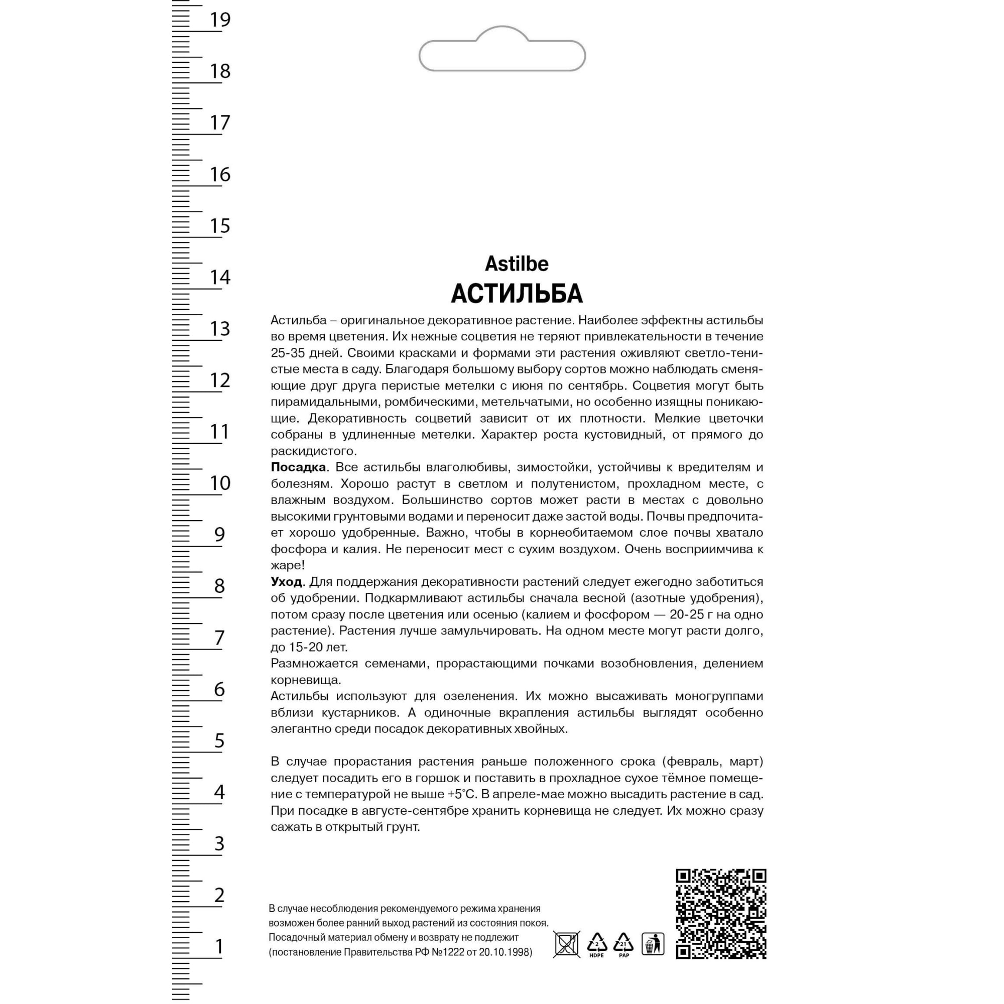 82530322 Астильба Арендса Аметист Santreyd  - Вид №1