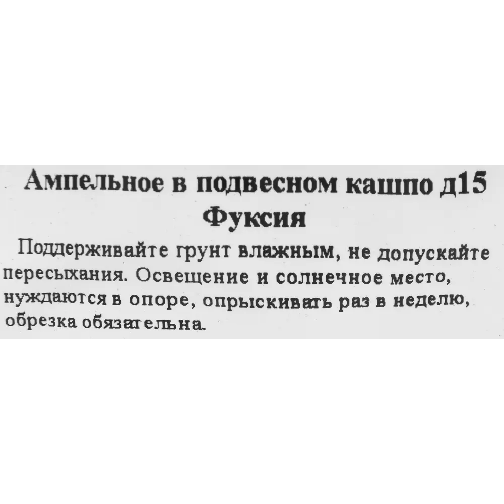 Фуксия в кашпо ø15 h25 см 83248481 STLM-2210187 Santreyd  - Вид №3