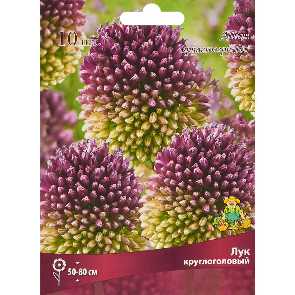 ПОИСК Лук Круглоголовый - декоративные луковицы для солнечного сада 85205647 STLM-1574703