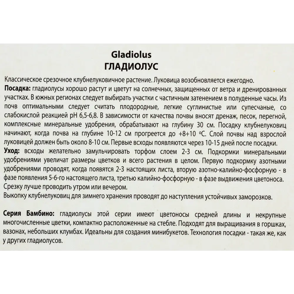 Гладиолусы бамбино «Васто», размер луковицы 10/12, 1 шт. 82118690 STLM-2151359 ПОИСК  - Вид №2