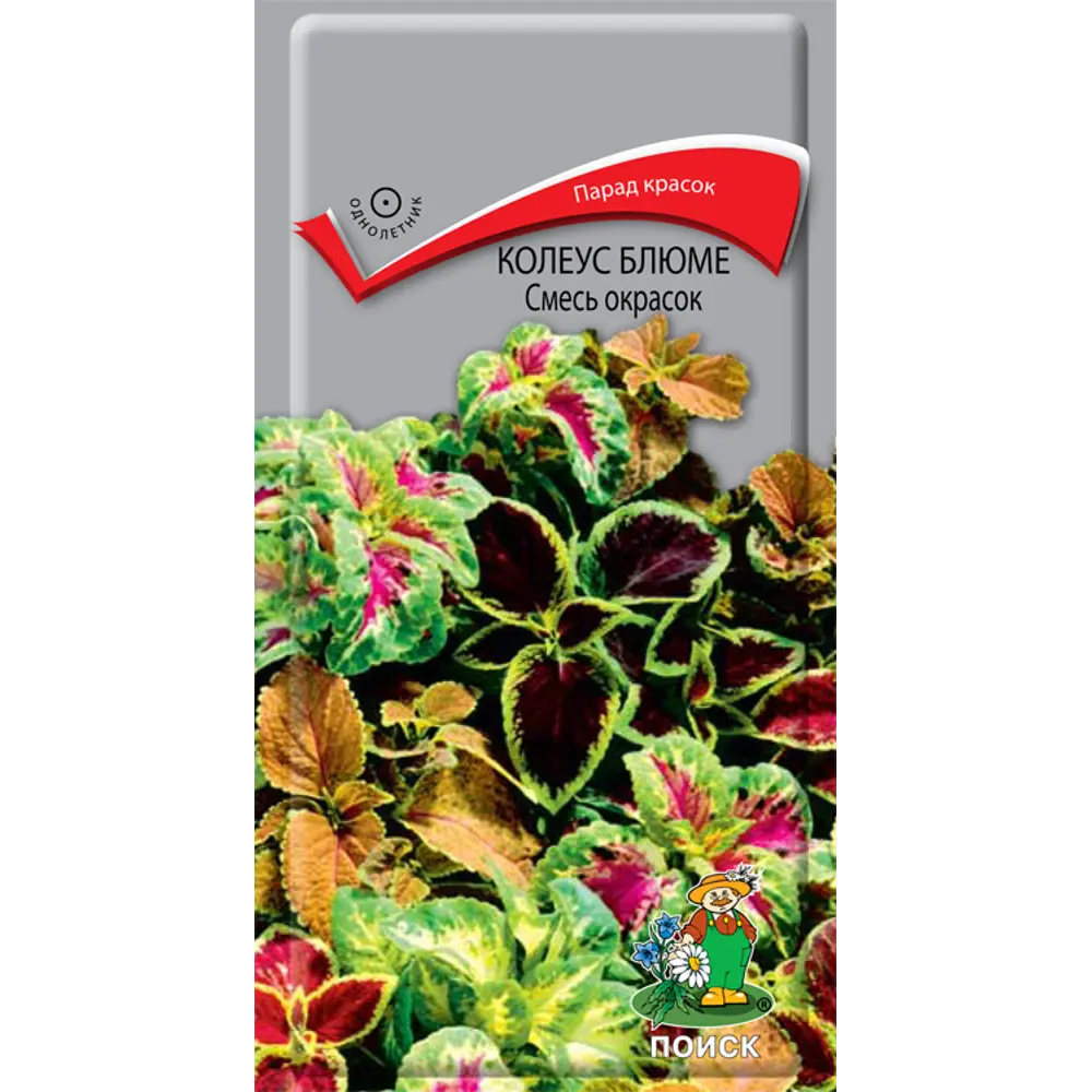 Колеус Блюме микс ПОИСК - декоративная листва для сада и интерьера 89401223 STLM-1570186