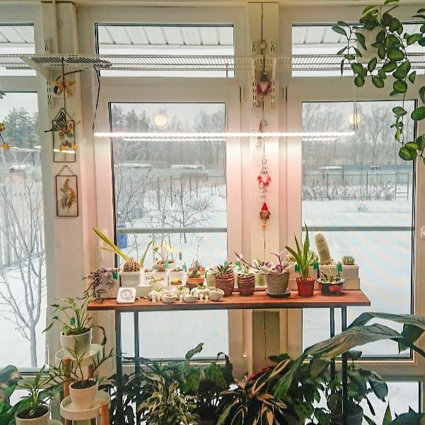 3351 Цветонос 2.4.a - Цветение и Плодоношение. Белый свет. LAB.Space  - Вид №3