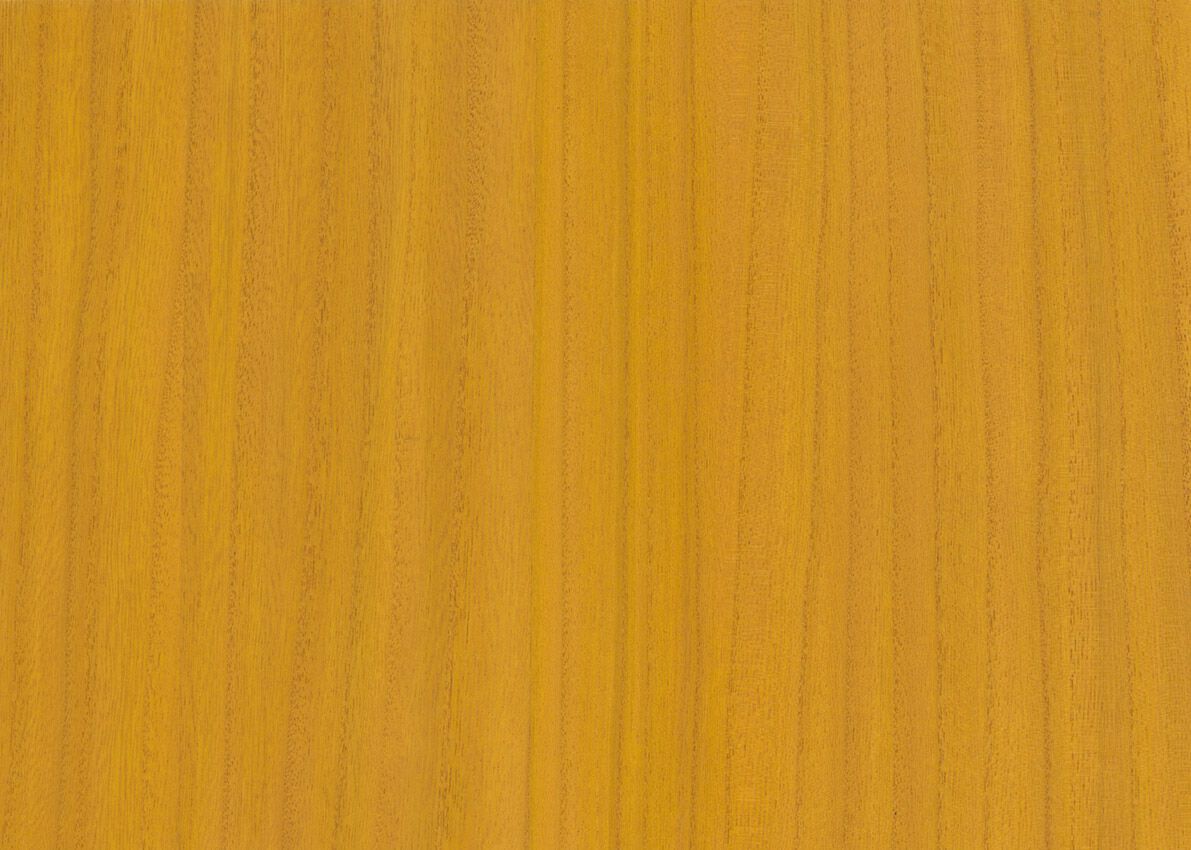 Обои с эффектом дерева Jannelli&Volpi СП 454 OMNIA ARCH-00039930 - Вид №17