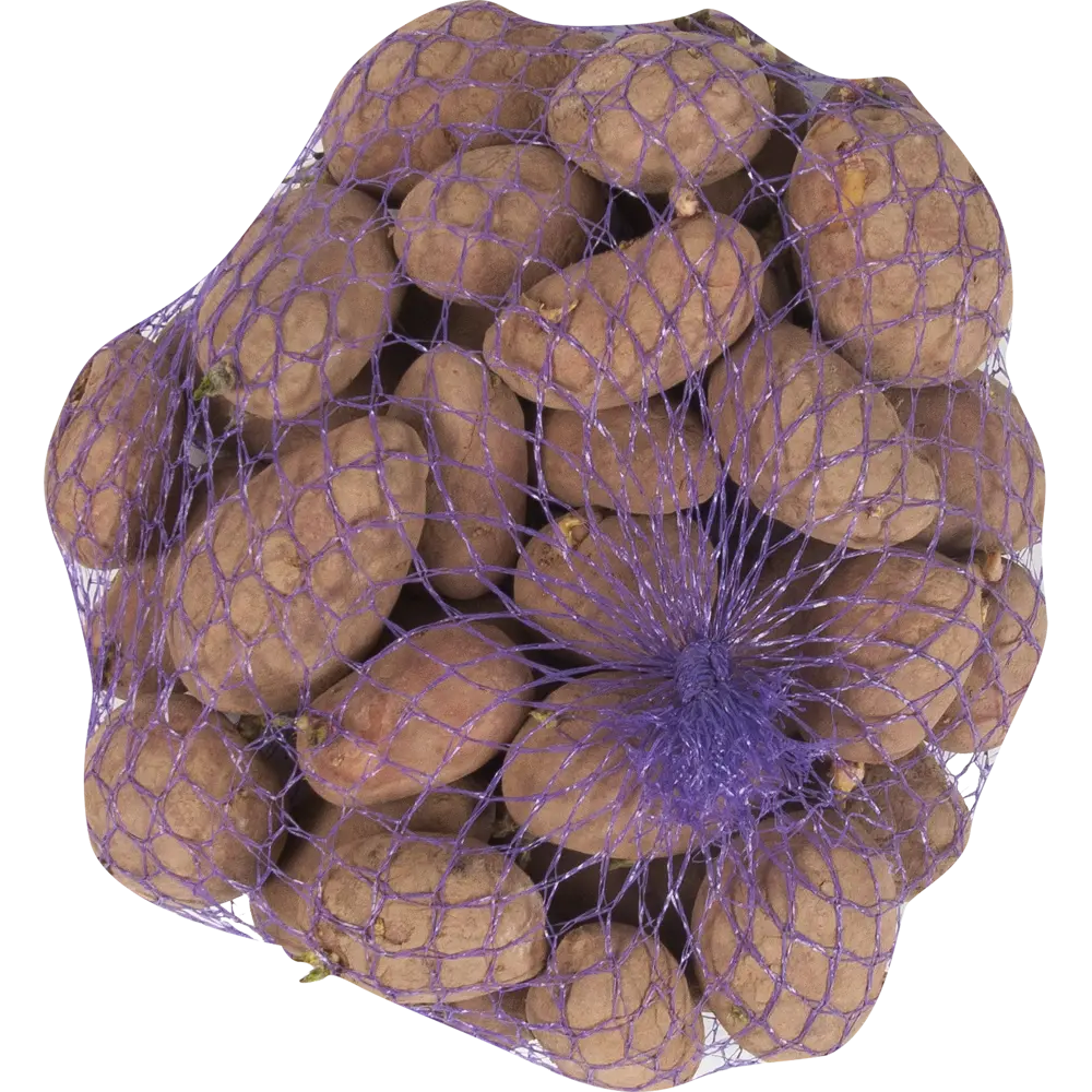 Картофель семенной Лабелла II 2 кг Santreyd STLM-2205870 - Вид №1