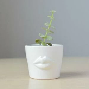 Набор для выращивания Eco мини-кашпо «Губы»