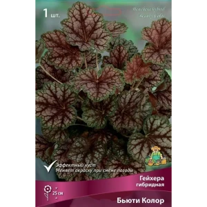 Гейхера гибридная Бьюти Колор 89351859 STLM-2182296
