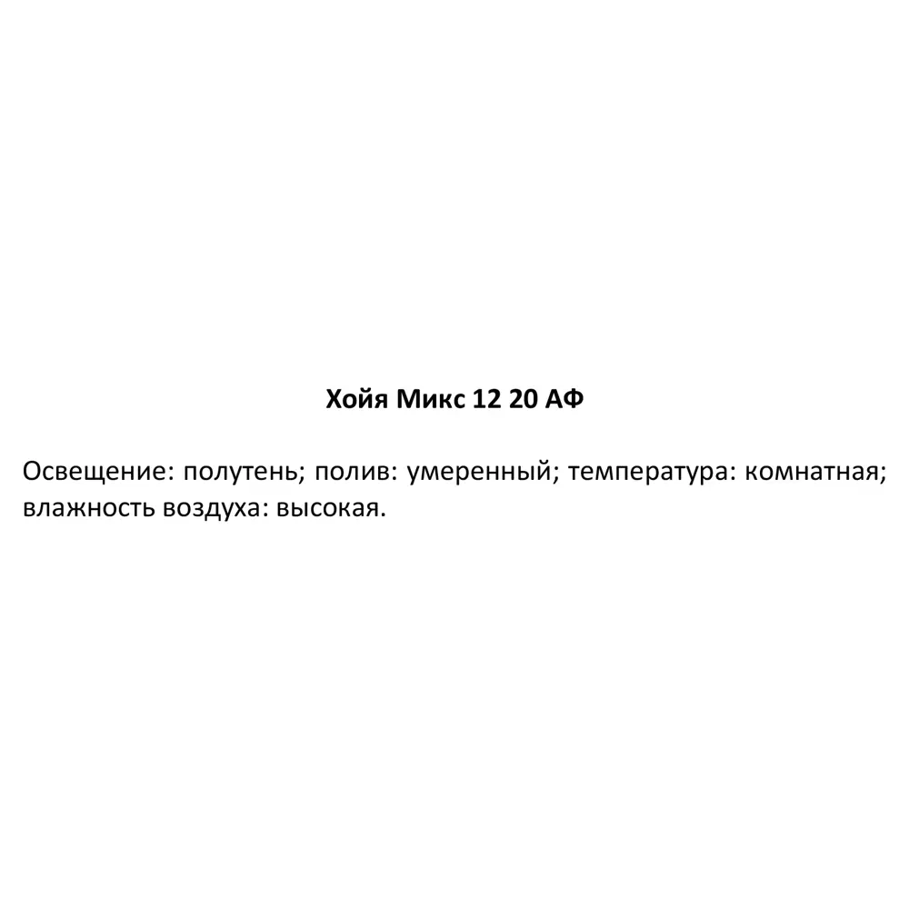 Santreyd Хойя микс - ампельное растение для интерьера ø12 см 82932869 STLM-0038112 - Вид №3