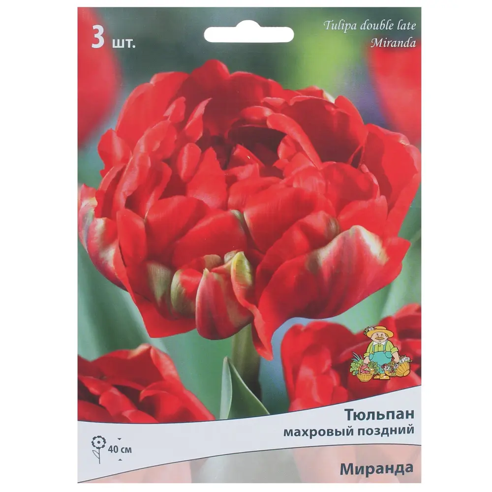 Тюльпан махровый Миранда - 3 луковицы пионовидного сорта 82000226 Santreyd STLM-1581568