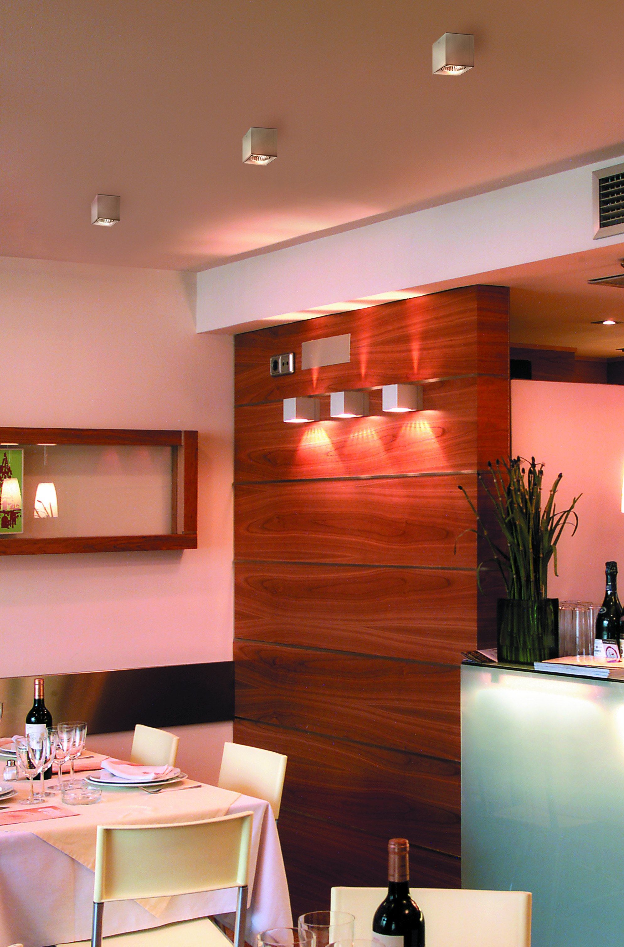 Потолочный светодиодный прожектор Milan Iluminacion Dau ARCH-00073821 - Вид №6