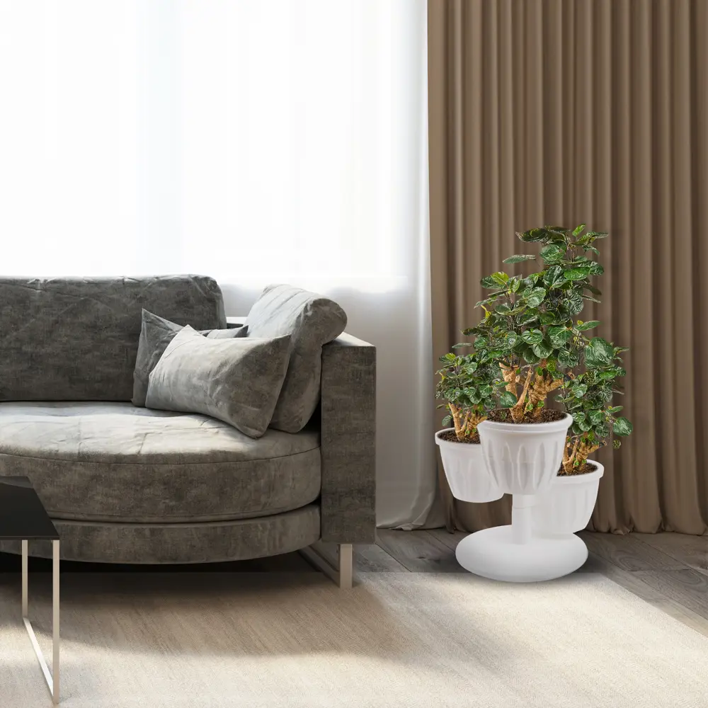 Полисциас Фабиан 21x70 см 82892073 STLM-2062746 Santreyd  - Вид №3