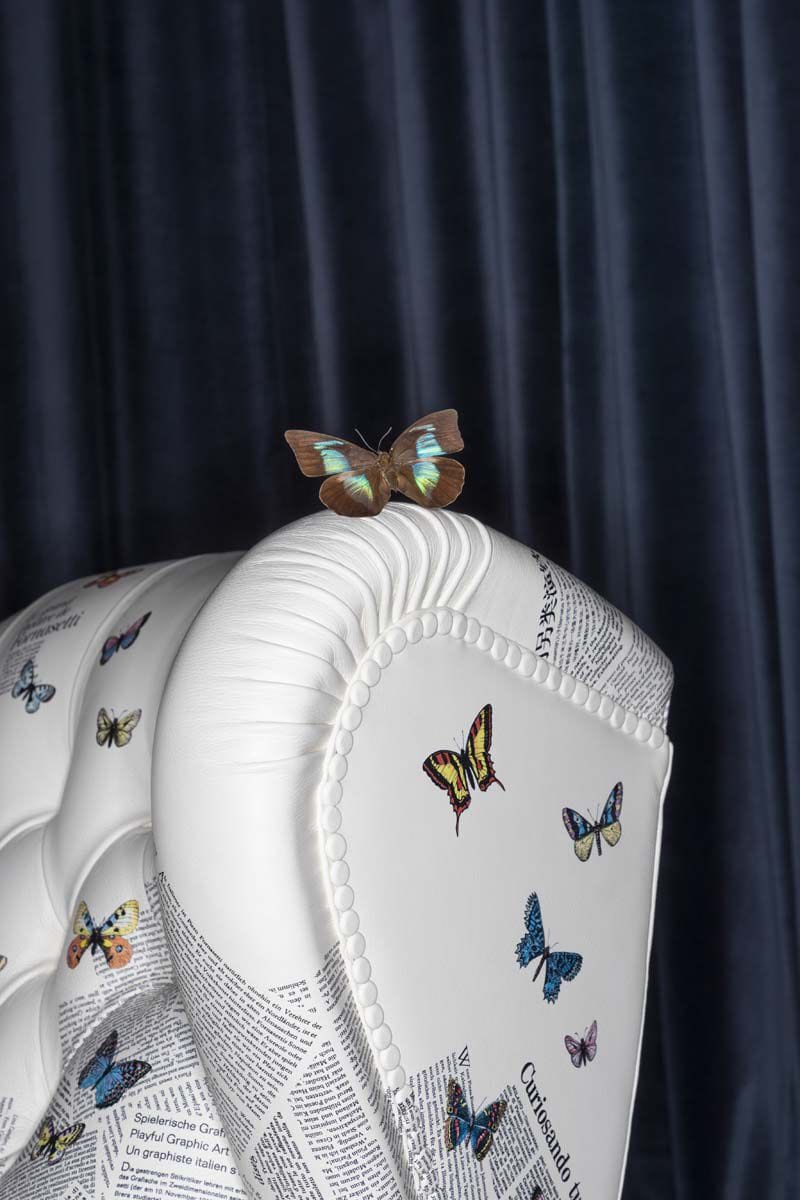 Кресло bergère Poltrona Frau коллекция-диваны и кресла ARCH-00028570 - Вид №16