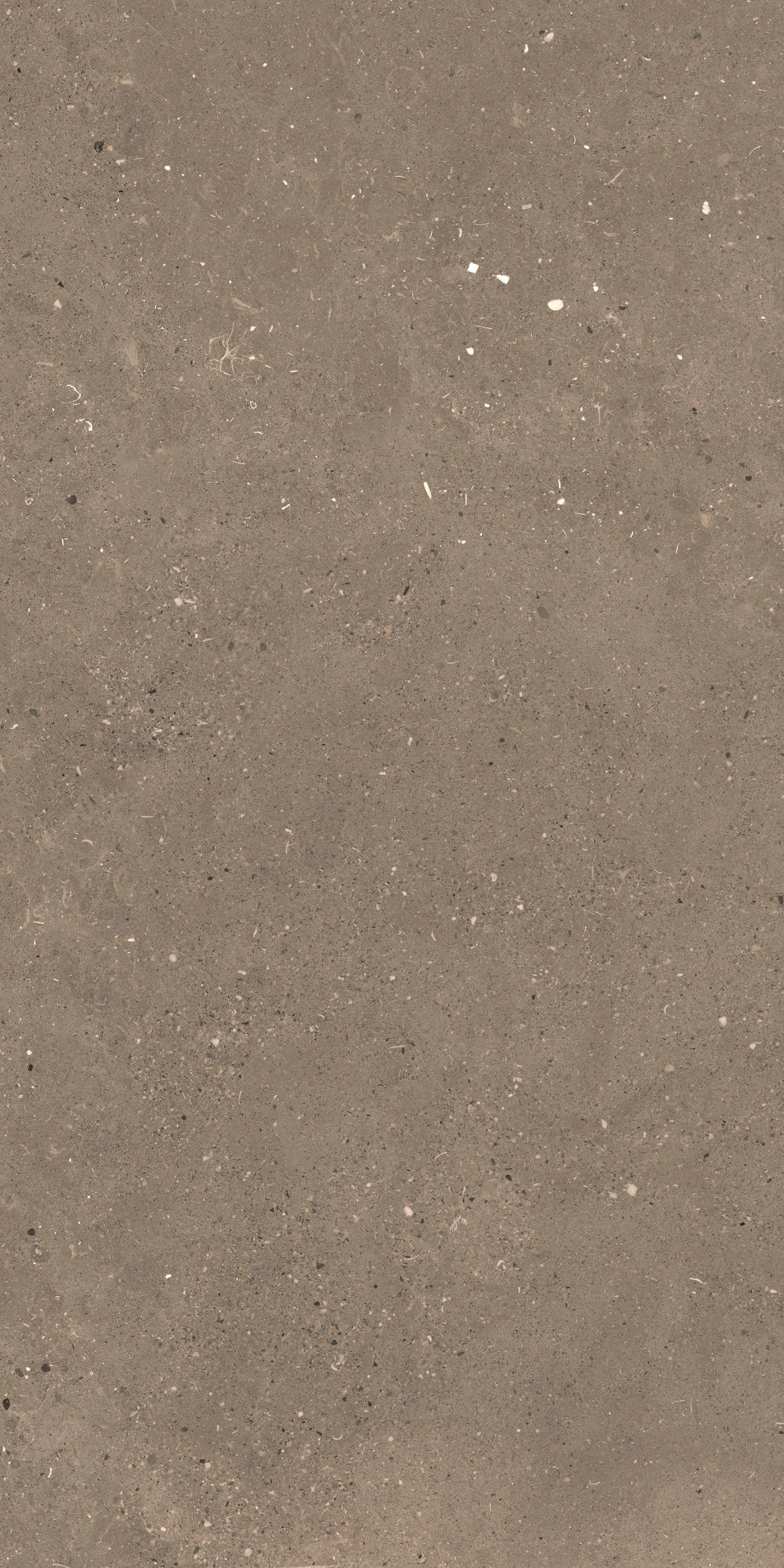 Пол / облицовка керамогранита с эффектом камня Fiandre сплошная ARCH-00006905 - Вид №8