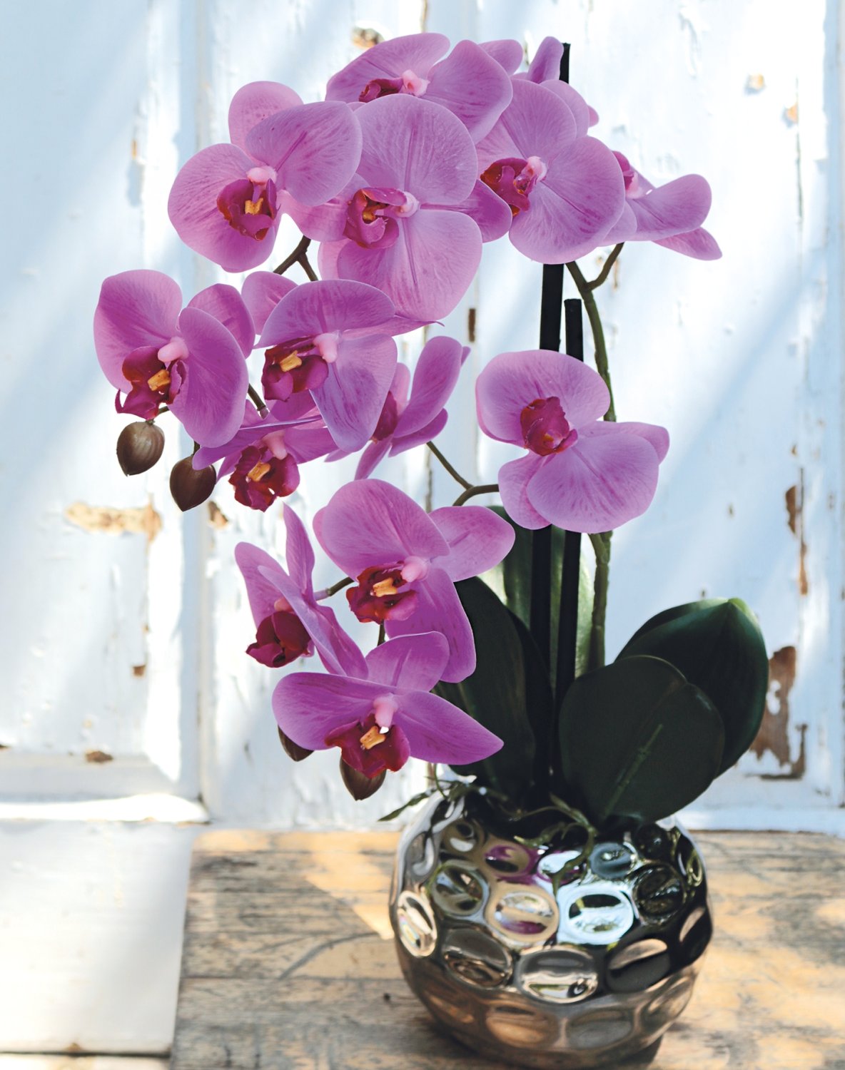 2772 420 a3 Пластиковая орхидея Phalaenopsis, 2-х кратная, горшечная, 45 см, real touch, вишня H-andreas 