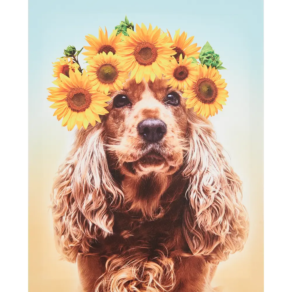 Картина на холсте Собачка с подсолнухами 40х50 см Santreyd STLM-2003297