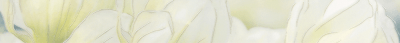 Rapsodia olive 01 600х65 Gracia Ceramica 010214001061
