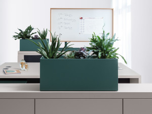 Прямоугольные плантаторы