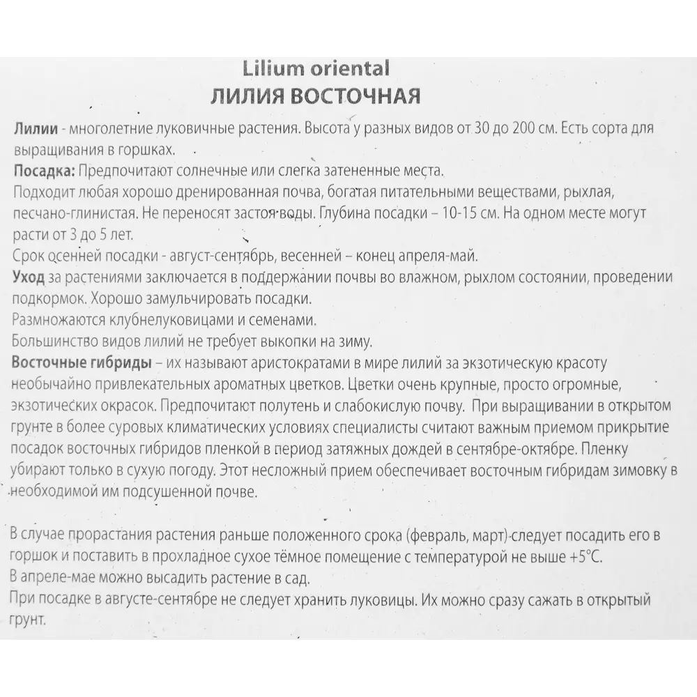 Лилия восточная Том Паус 85205767 STLM-2164994 ПОИСК  - Вид №2