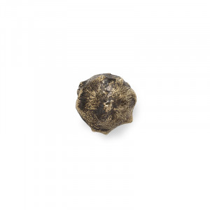 EA1018 Oak PULLCAST Earth Collection
