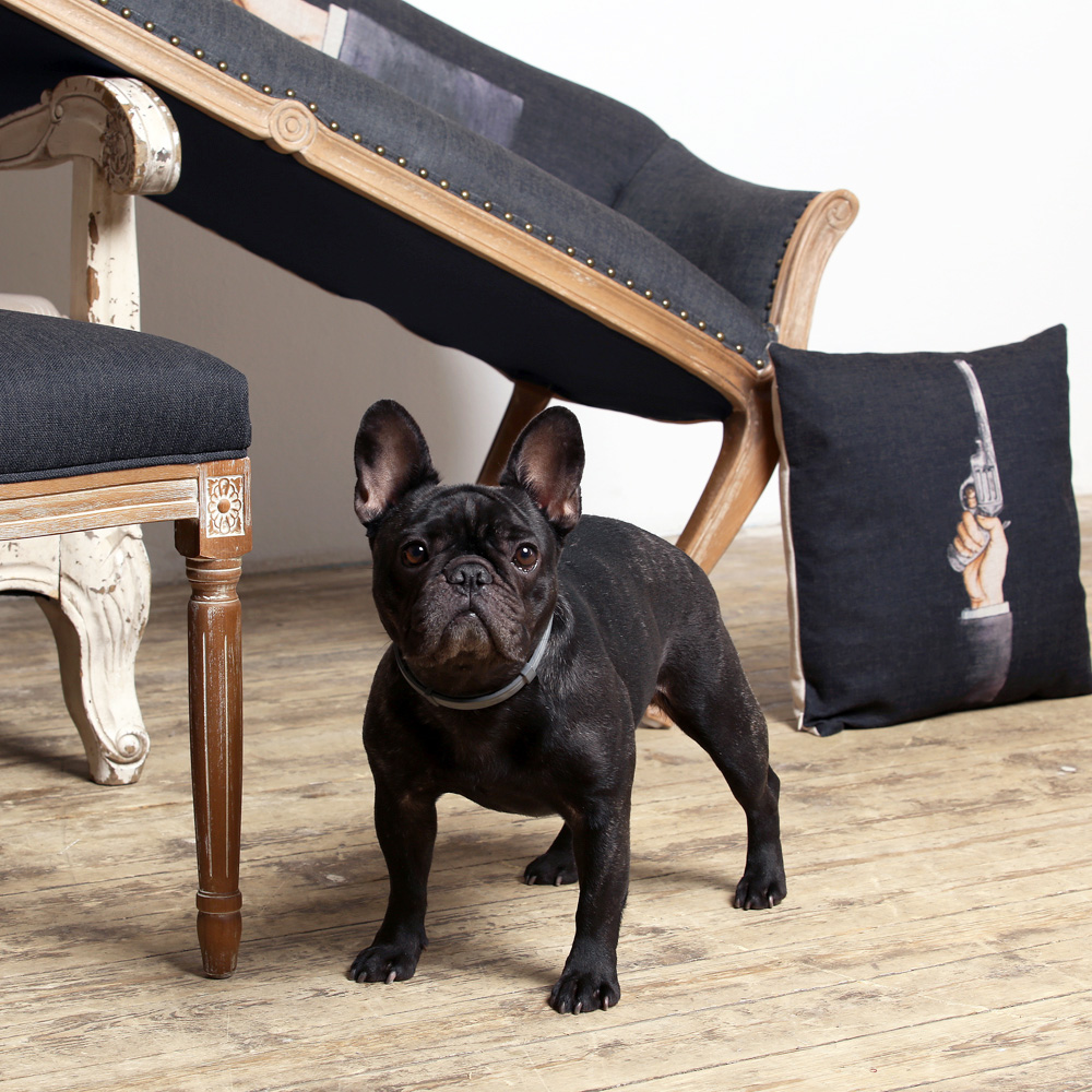 2719169 Декоративная подушка «Агент», версия 2 Object Desire  - Вид №6