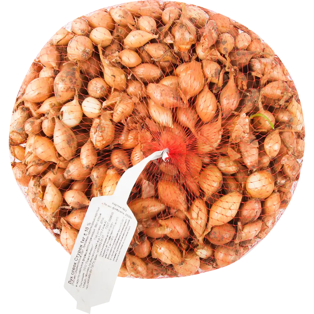 Лук севок Стурон 1 кг Santreyd STLM-2051125 - Вид №1