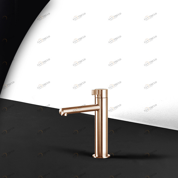 Смеситель для раковины TOOX TXQ2R розовое золото Radomonte