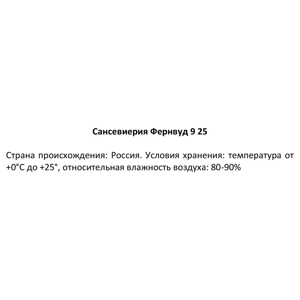 Сансевиерия Фернвуд Santreyd — декоративное комнатное растение с трубчатыми листьями 87819653 STLM-0963900 - Вид №3