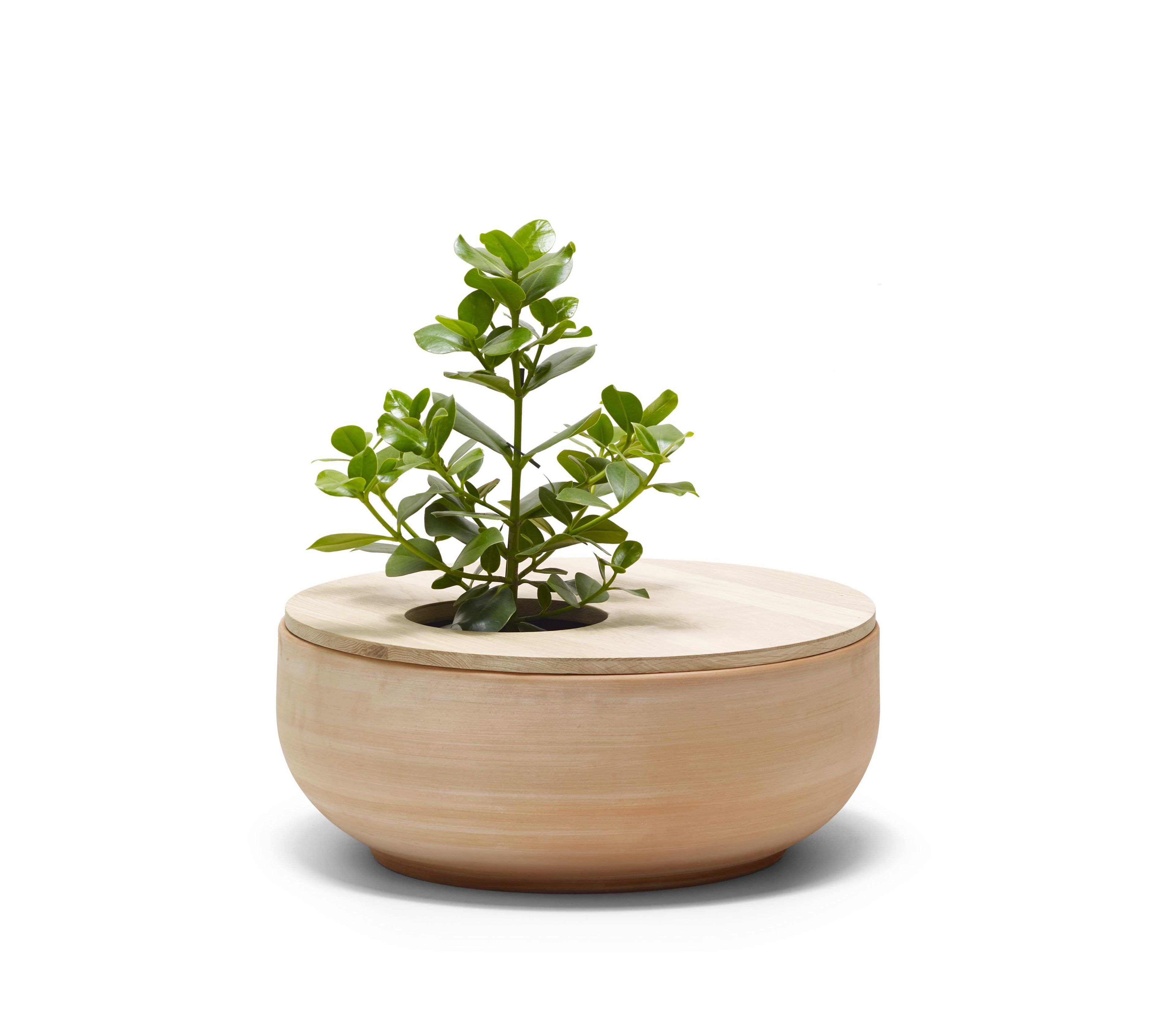 Терракотовая ВАЗа ручной работы ALKI Lur ARCH-00128306 - Вид №3