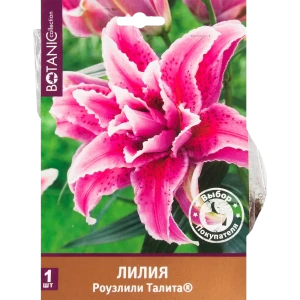 Лилия восточная махровая «Роузлили Талита» 82539374 STLM-2150047