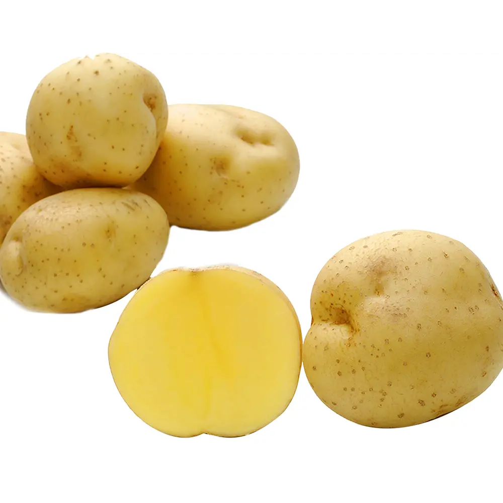 Семена Картофель семенной «Гала» 2 кг Santreyd STLM-2048758 - Вид №1