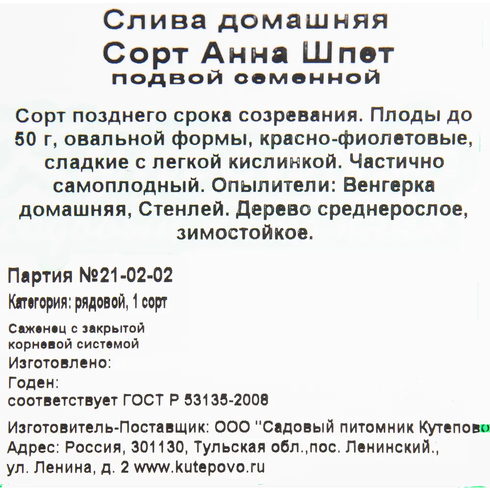 Слива «Анна Шпет» C4 высота 140 см 82597131 STLM-2034471 Santreyd  - Вид №1