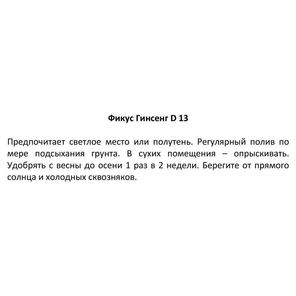 Фикус Гинсенг ø13 h20 см 85394471 STLM-2054350 Santreyd  - Вид №3