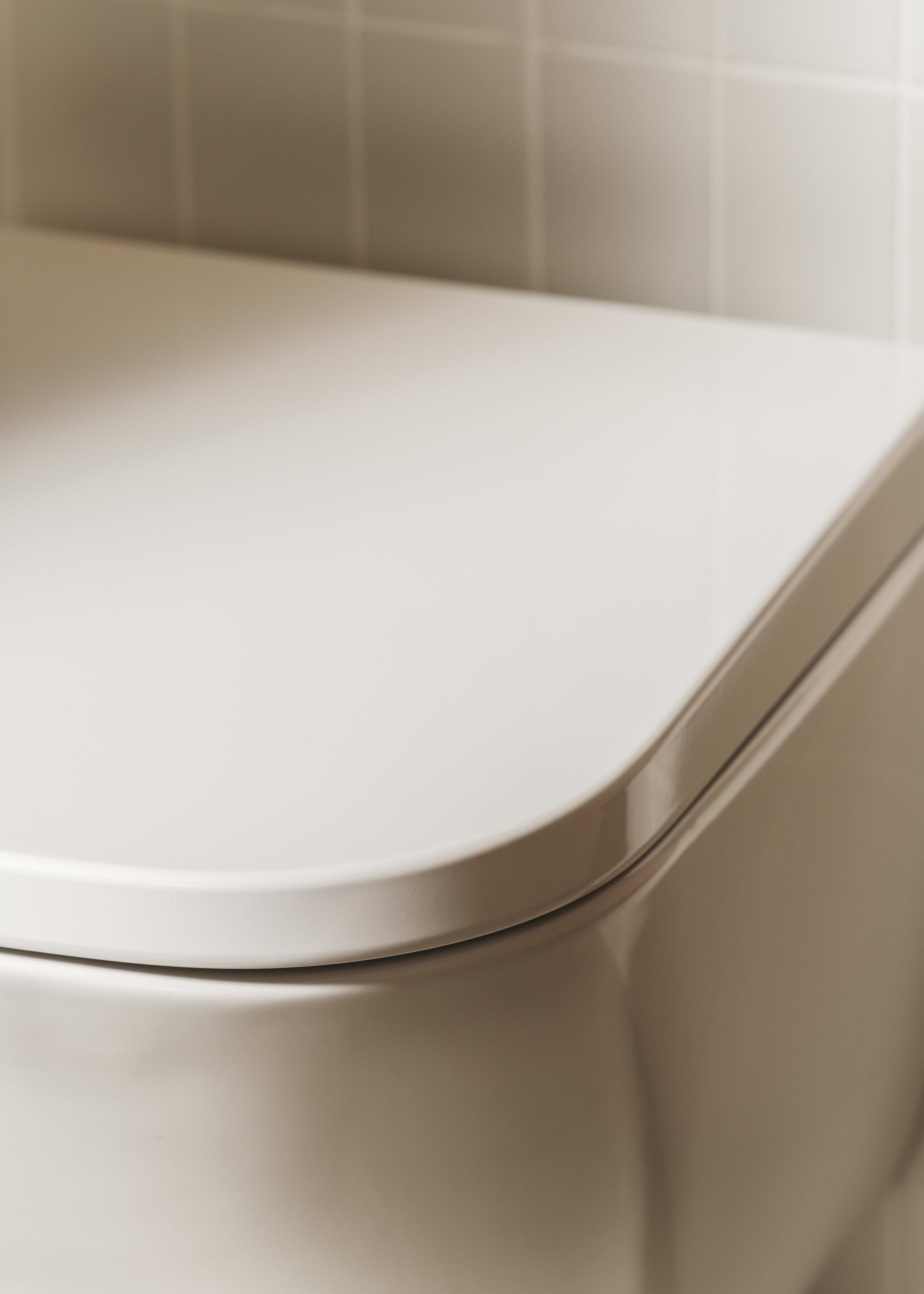 Мягкое пластиковое сиденье для унитаза Roca ROUND 801D12..1 / 801D22..1 ARCH-00064099 - Вид №2