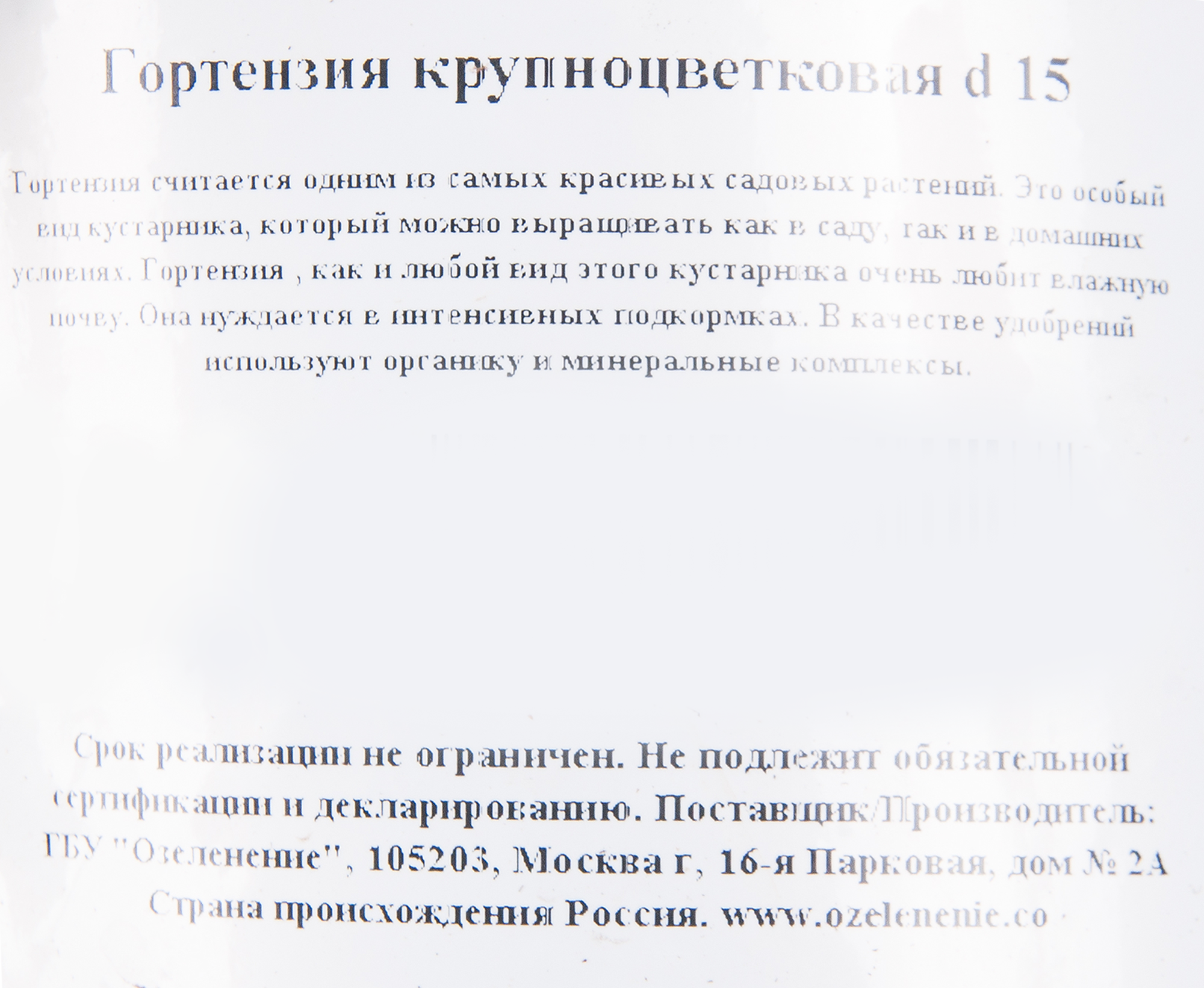 Гортензия Santreyd крупнолистная двухцветная 30 см в горшке 82560439 STLM-0029953 - Вид №1