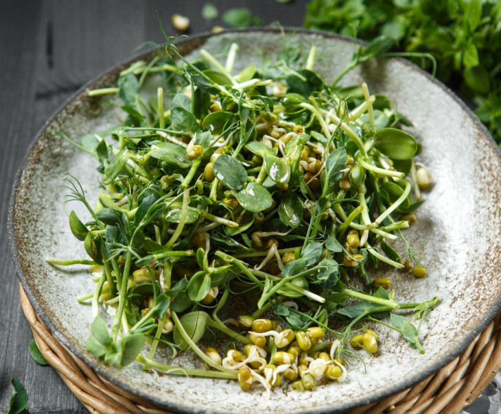 9724 Микс из микрозелени "Зеленый Боб" Вкусляндия 