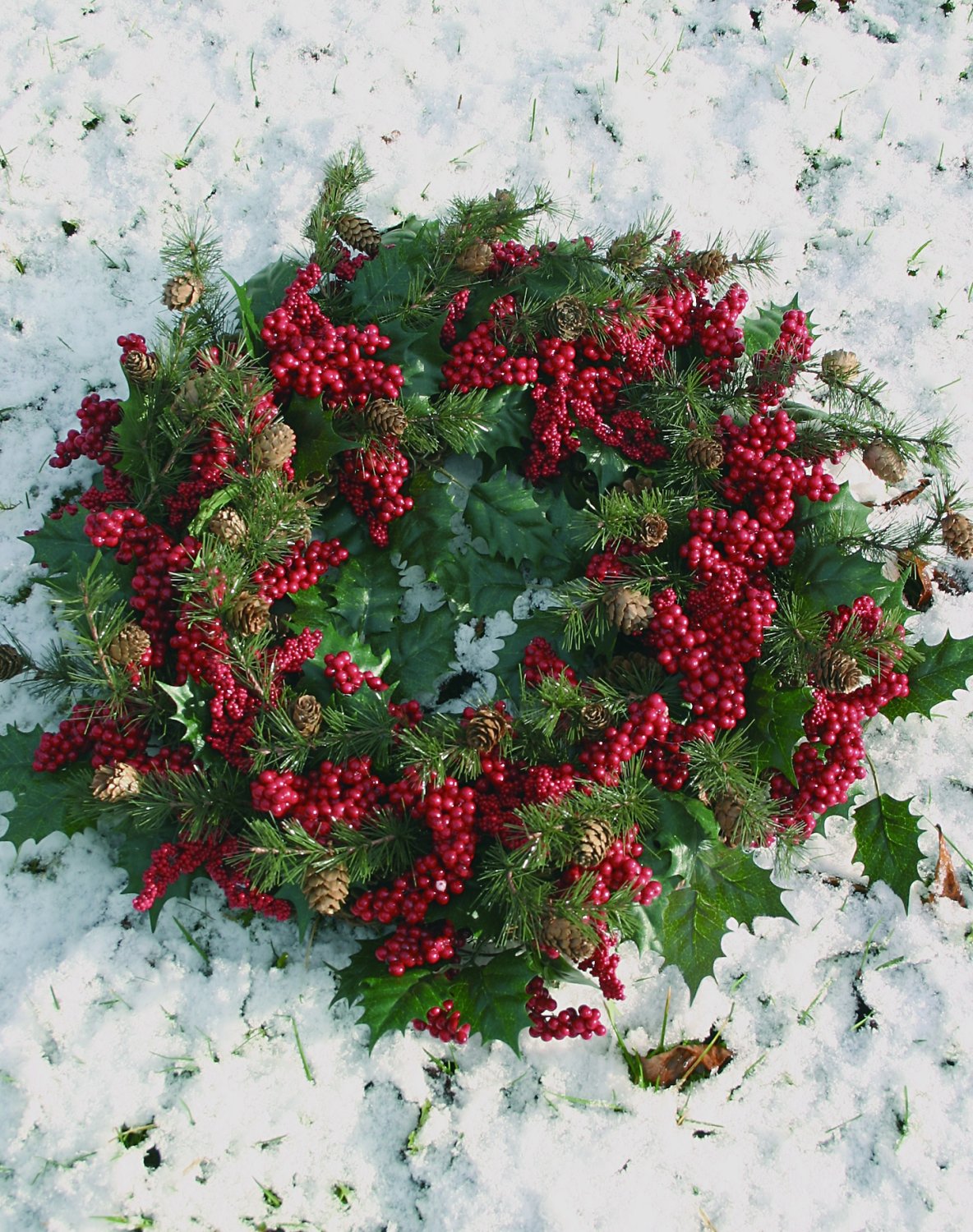 1212 444 a3 Венок из искусственных ягод, Ø 50 см, красный H-andreas 