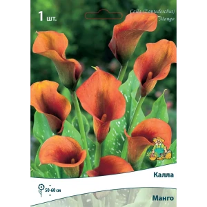 Калла Манго 14/16, 1 шт 82534984 STLM-2156205