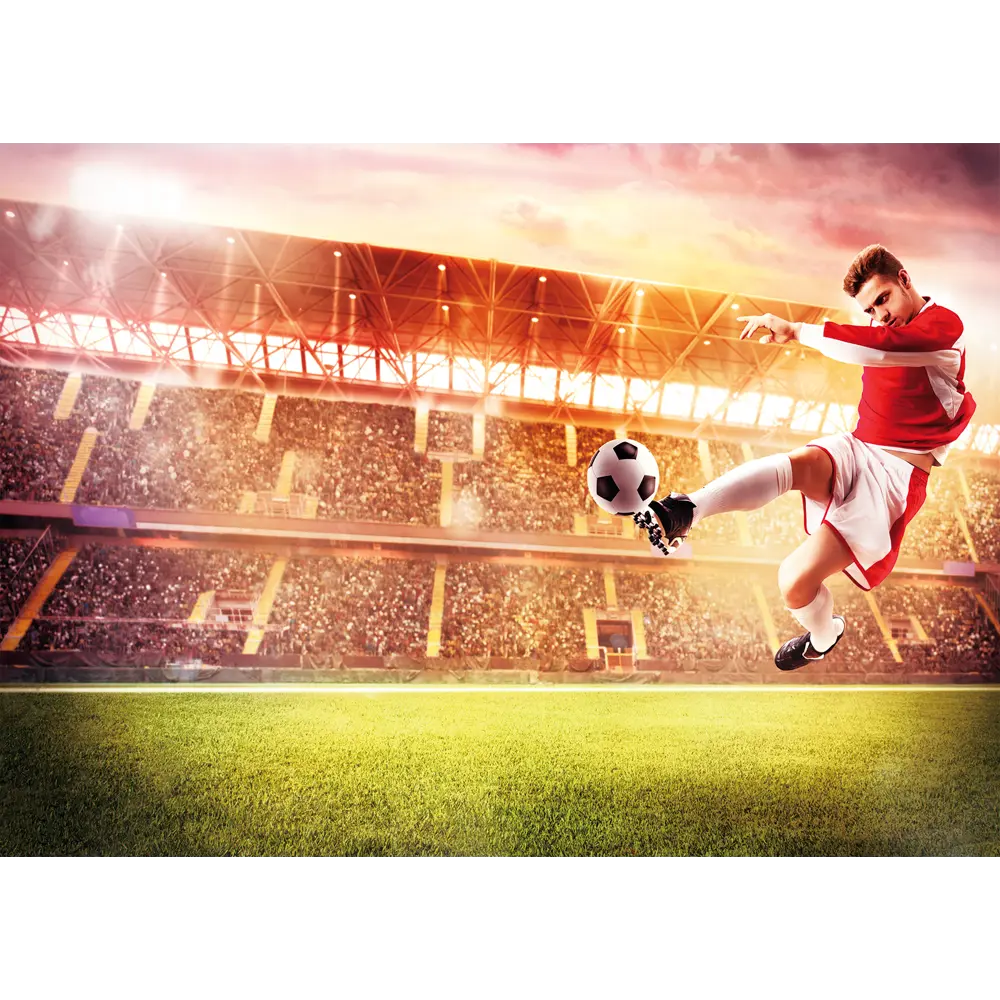 Фотообои Футбольный триумф 140x100 см Симфония STLM-2198648
