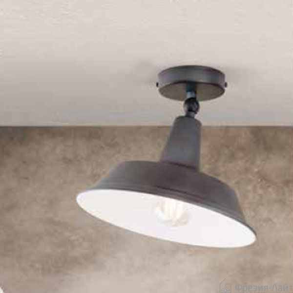 Orion DL 7-624/1 vintage/grau потолочный 111130