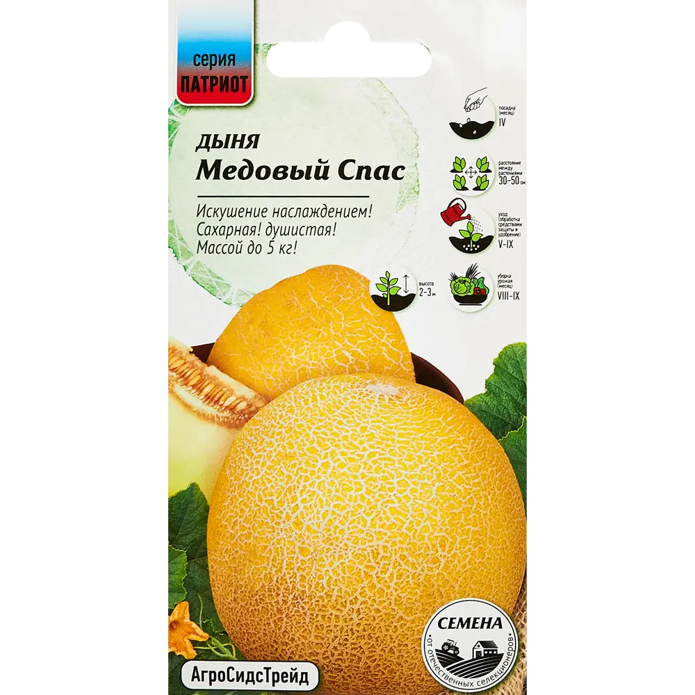 Семена овощей дыня Медовый спас 10 шт Santreyd STLM-2196578