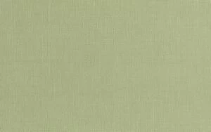 Эсте зеленый низ 02 25х40