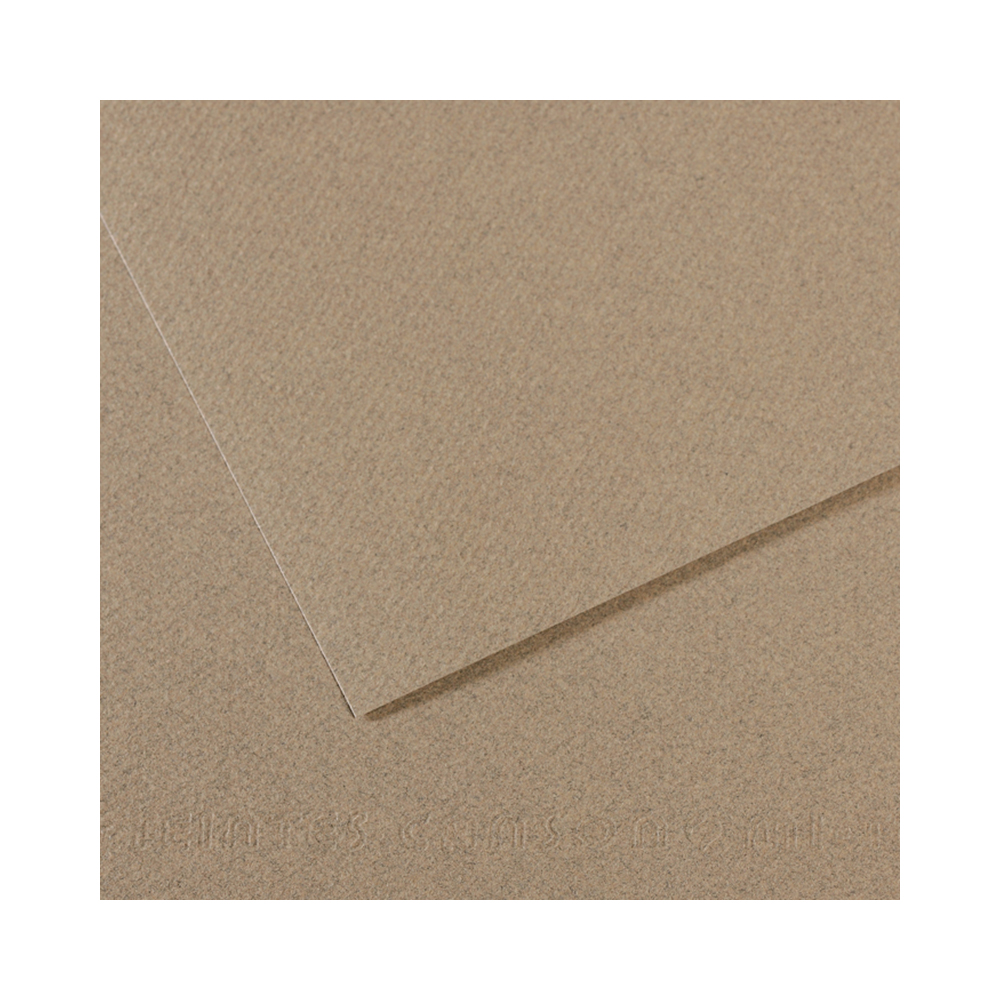 200331434 Бумага для пастели Mi-Teintes 160 г/м2 50 х 65 см лист №429 серая дымка Canson 