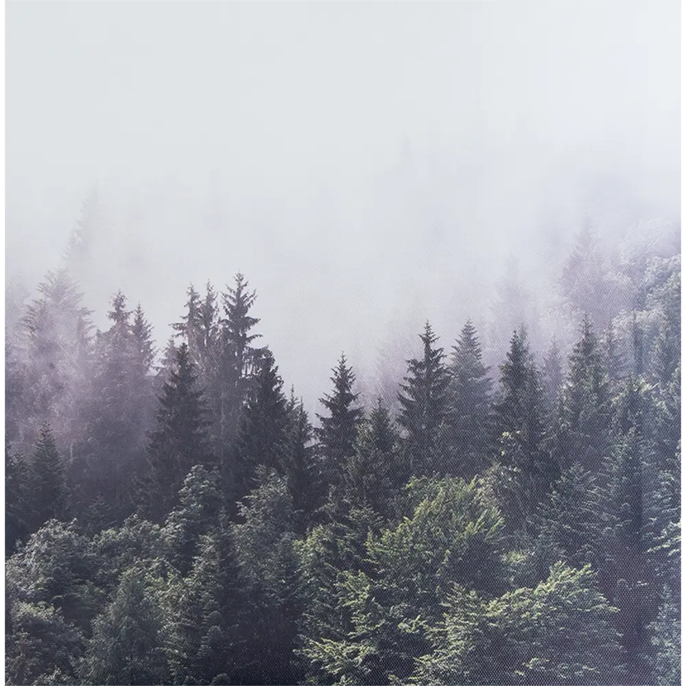Santreyd «Туманный лес» — картина на холсте 30×30 см 82402326 STLM-0026579