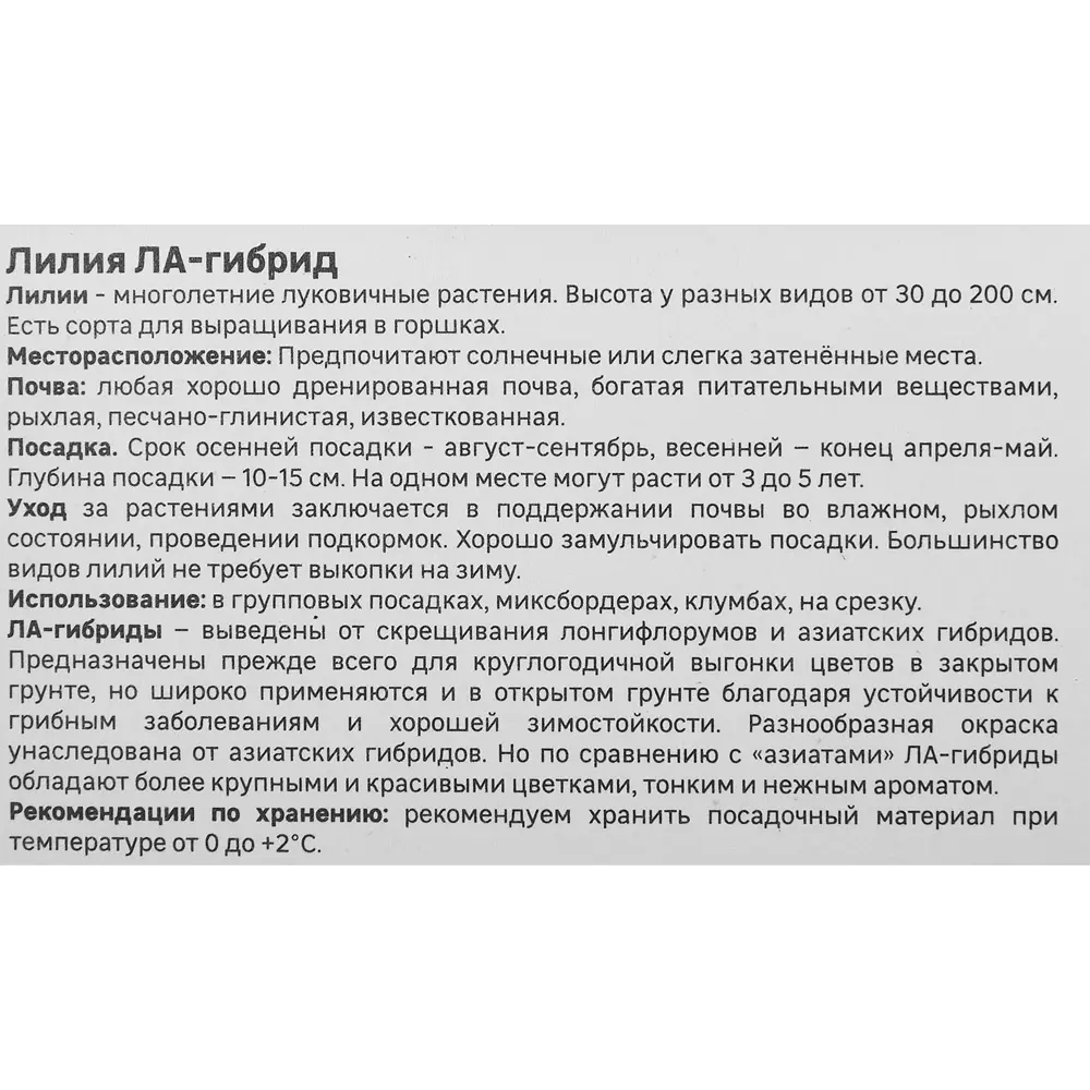 Лилия Geolia ла-гибрид Фанжио STLM-2181143 - Вид №3