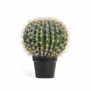 2000983221971 Кактус Баррель UMAGE