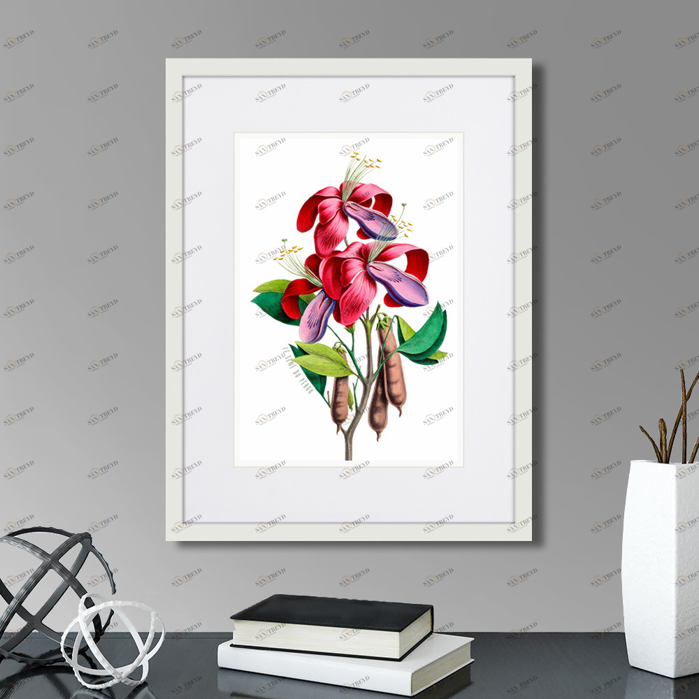 Картина: Caribian Flora Pink And Purple Flower, 1740г. КАРТИНЫ В КВАРТИРУ  264452 Разноцветный 